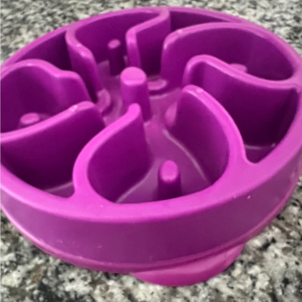 Purple Slow Feeder Dog Bowl